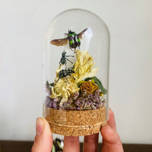 Mini Magical Realm Of Insects - one of a kind!