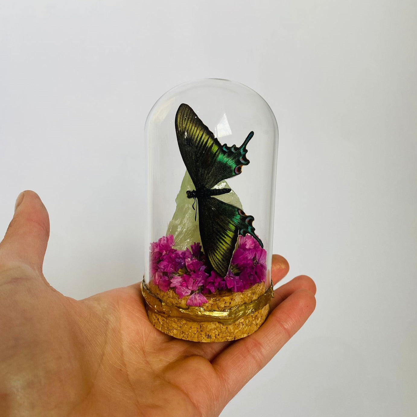 Mini Butterfly Realm/Spring Papillio Maacki